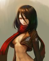 attack_on_titan_-_mikasa_20130914_057.jpg